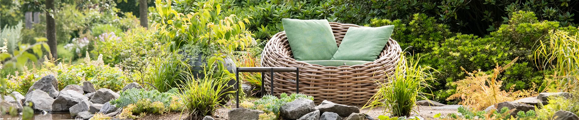 GS669406.jpg GS669406.jpg