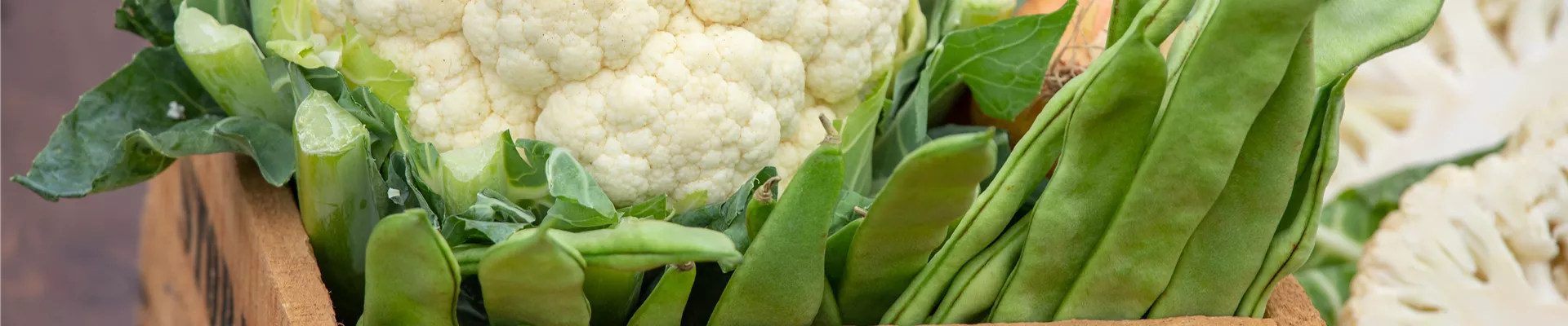 GS657919.jpg GS657919.jpg