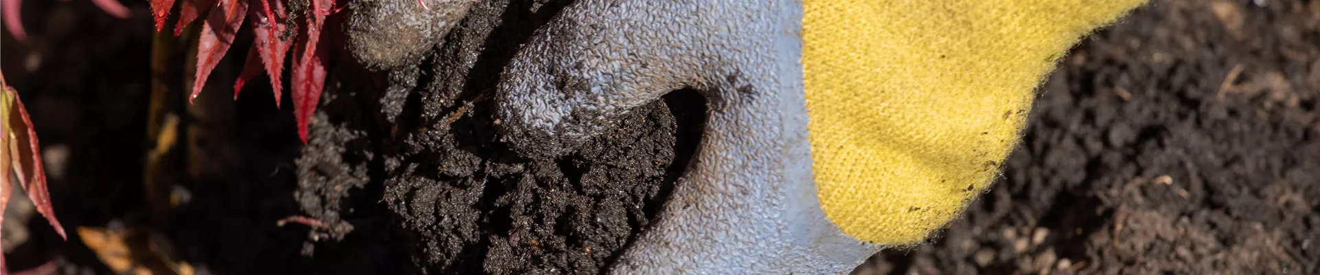 GS659489.jpg GS659489.jpg