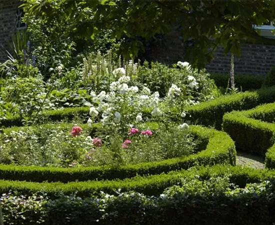 Einen Bauerngarten anlegen – Mehr als nur ein spießiger Nutzgarten