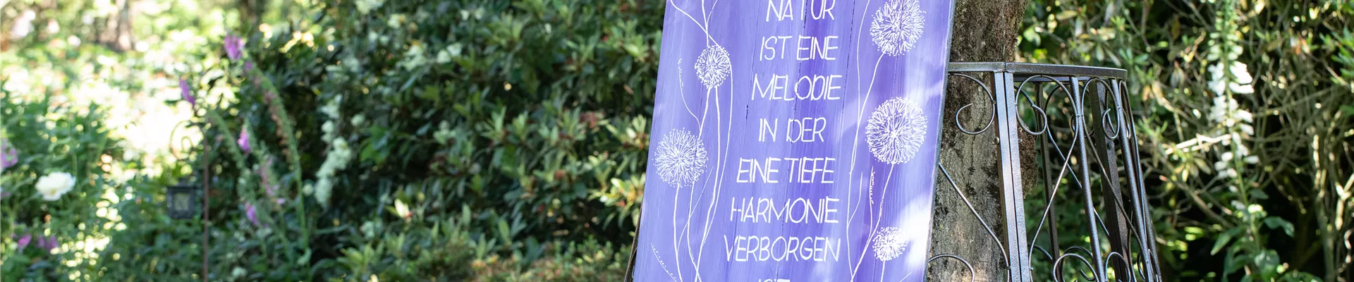 GS667788.jpg GS667788.jpg