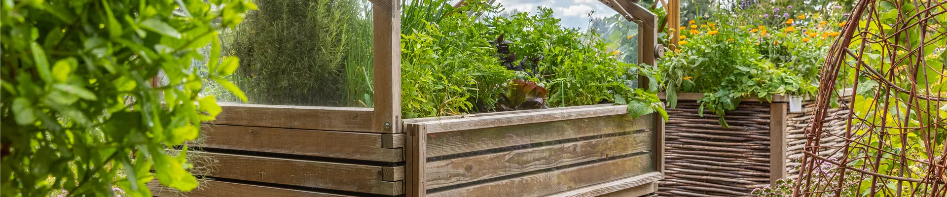 GS669278.jpg GS669278.jpg