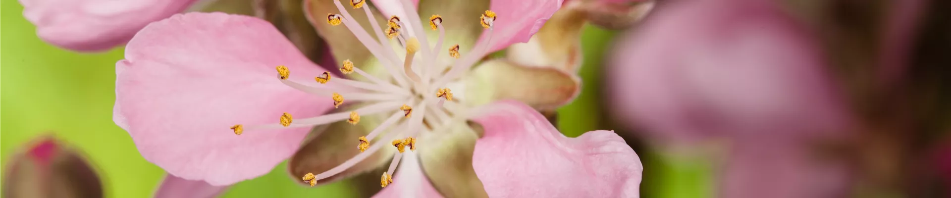 GS585645.jpg GS585645.jpg