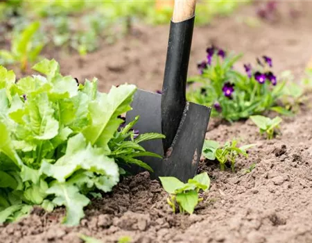 Hilfreiches und praktisches Zubehör zum Gärtnern Hilfreiches und praktisches Zubehör zum Gärtnern