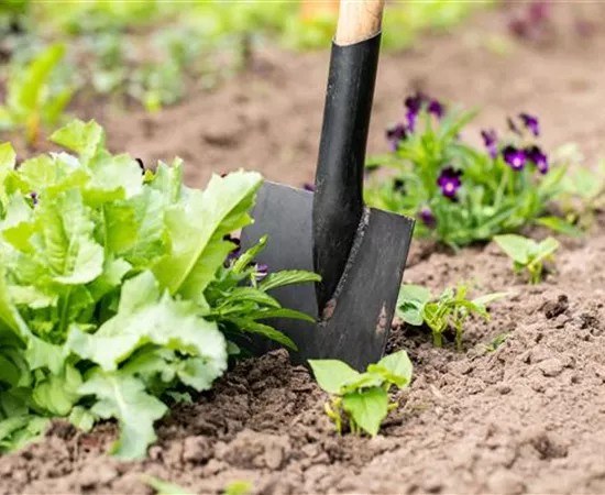 Hilfreiches und praktisches Zubehör zum Gärtnern