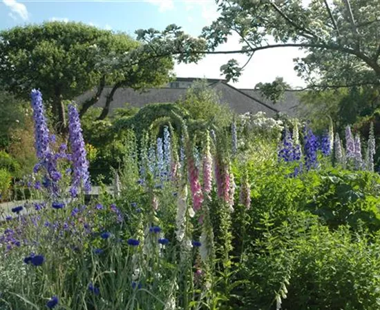 Jetzt ist es wieder soweit: Die Gartengestaltung mit Stauden