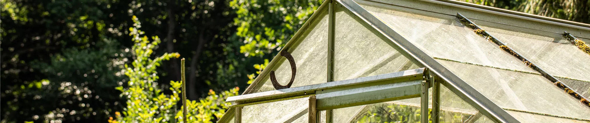 GS667726.jpg GS667726.jpg