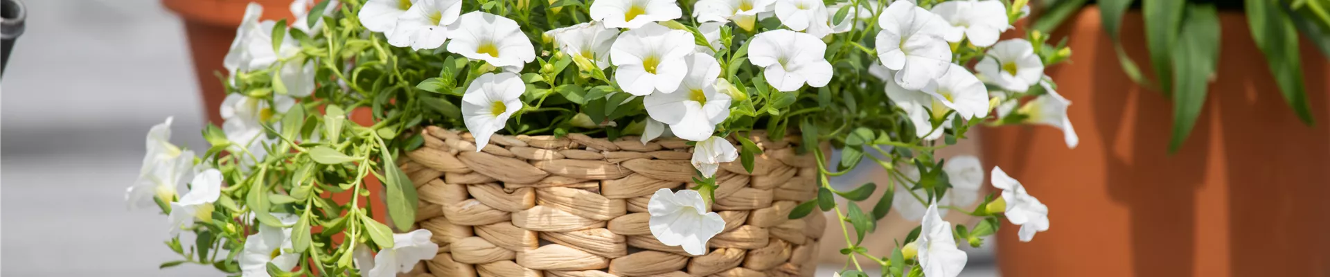 GS637637.jpg GS637637.jpg