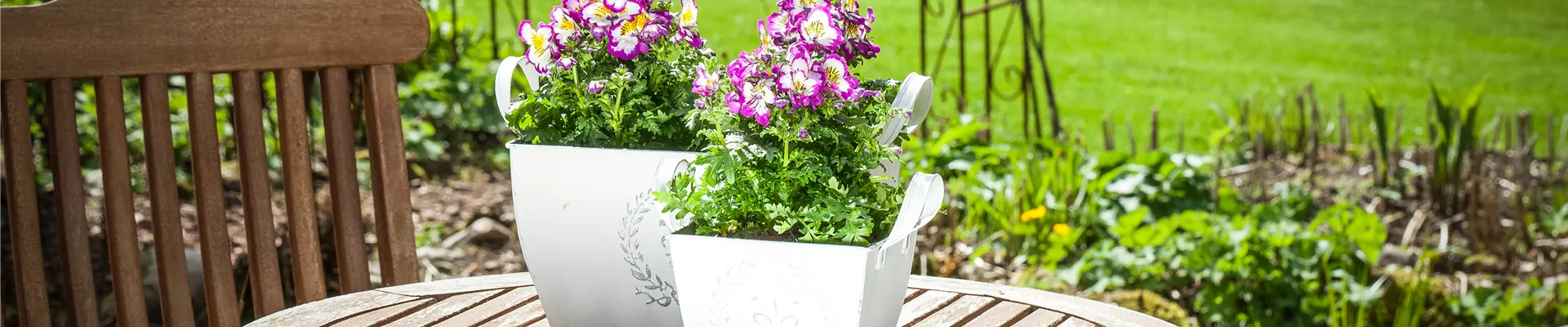 GS529449.jpg GS529449.jpg