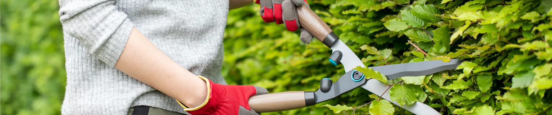 GS662805.jpg GS662805.jpg