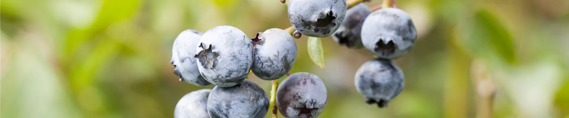 GS502568.jpg GS502568.jpg