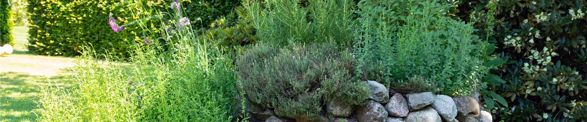 GS667466.jpg GS667466.jpg