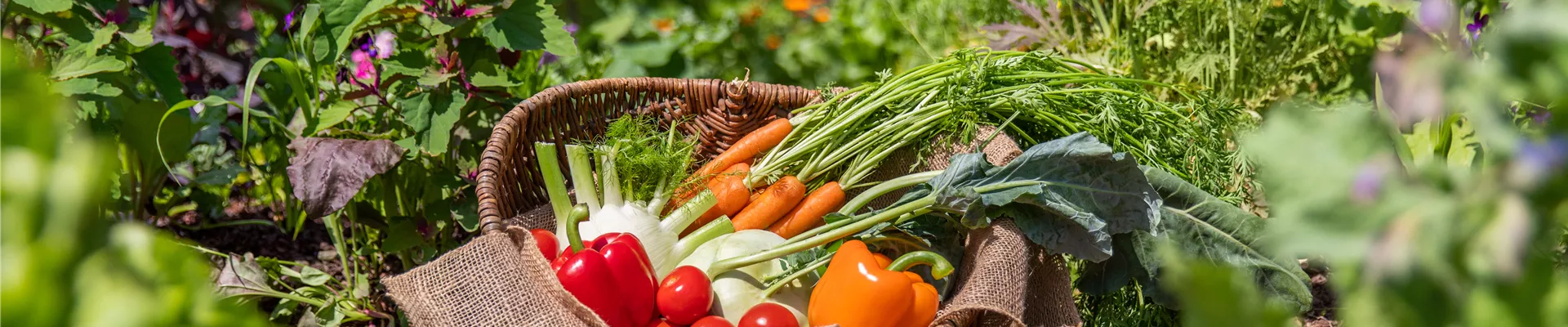 GS714100.jpg GS714100.jpg