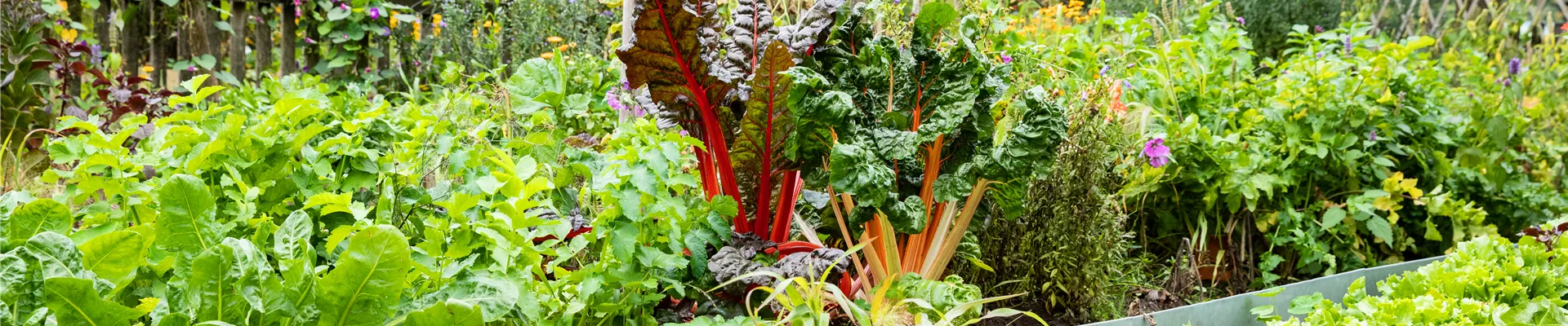 GS675401.jpg GS675401.jpg