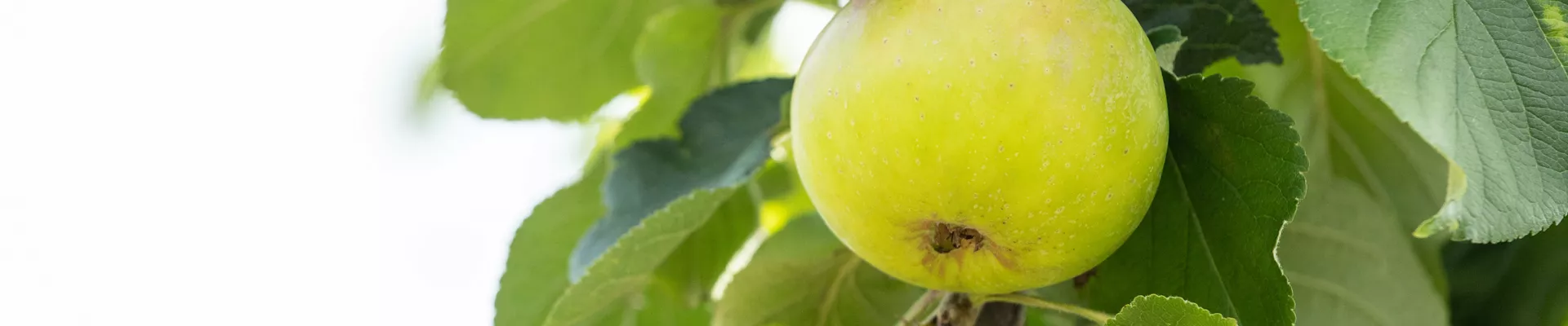 GS643558.jpg GS643558.jpg