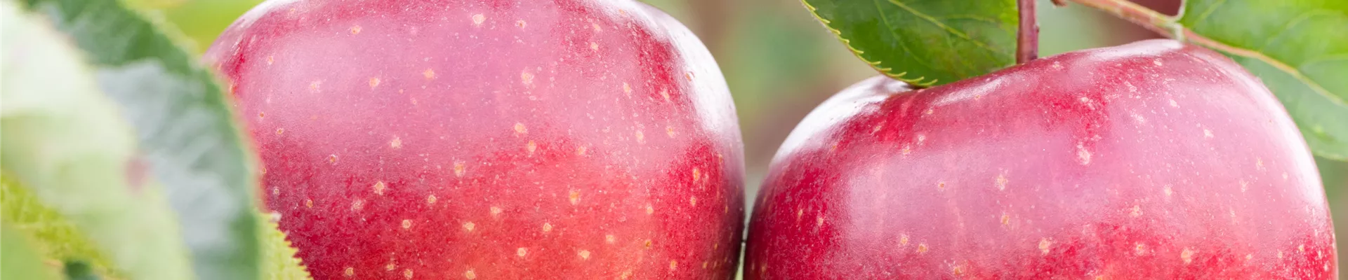 GS411361.jpg GS411361.jpg