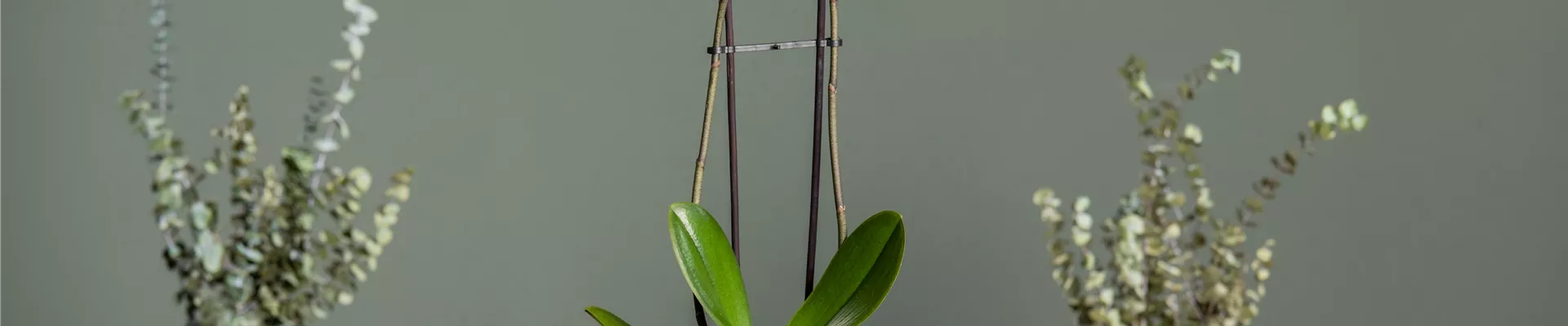 GS700202.jpg GS700202.jpg