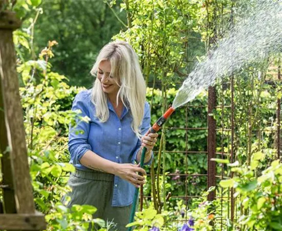 Pflanzenpflege im Sommer für durstige Gartenbewohner