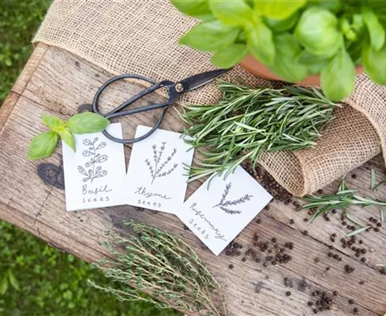 Ein Aussaatkalender sorgt für Übersicht bei der Gartenplanung