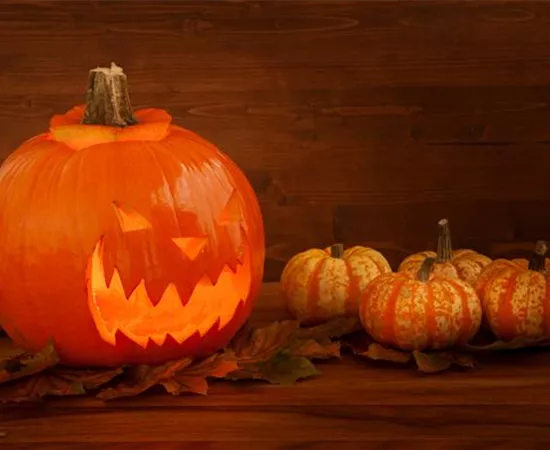 Der Garten zu Halloween – Schaurig schön