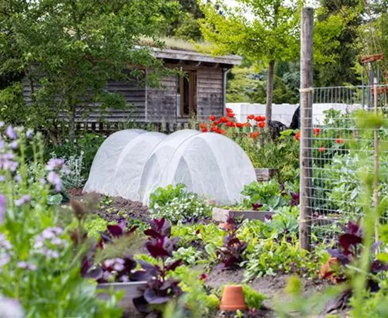 Ein Selbstversorgergarten sorgt für Freiheit Ein Selbstversorgergarten sorgt für Freiheit