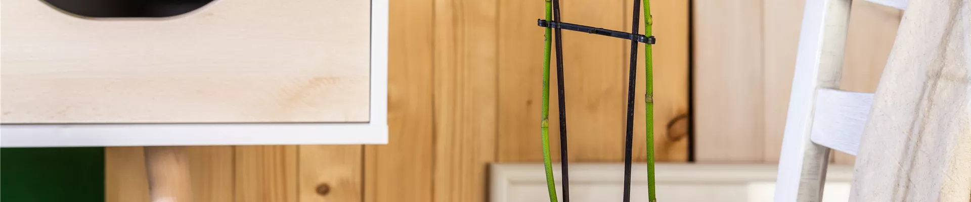 GS701841.jpg GS701841.jpg