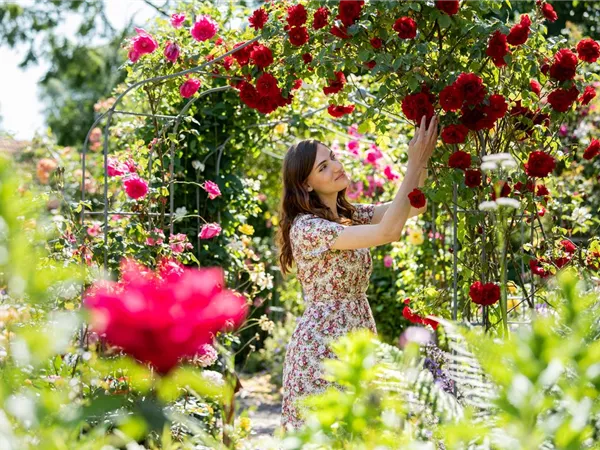 Frau im Rosengarten