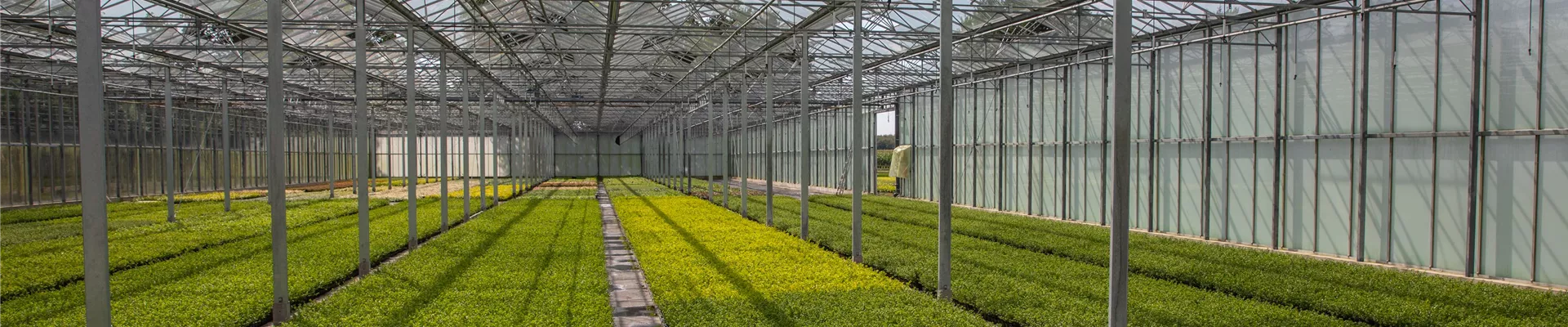 GS649878-0-1300-6317-1353.jpg GS649878-0-1300-6317-1353.jpg