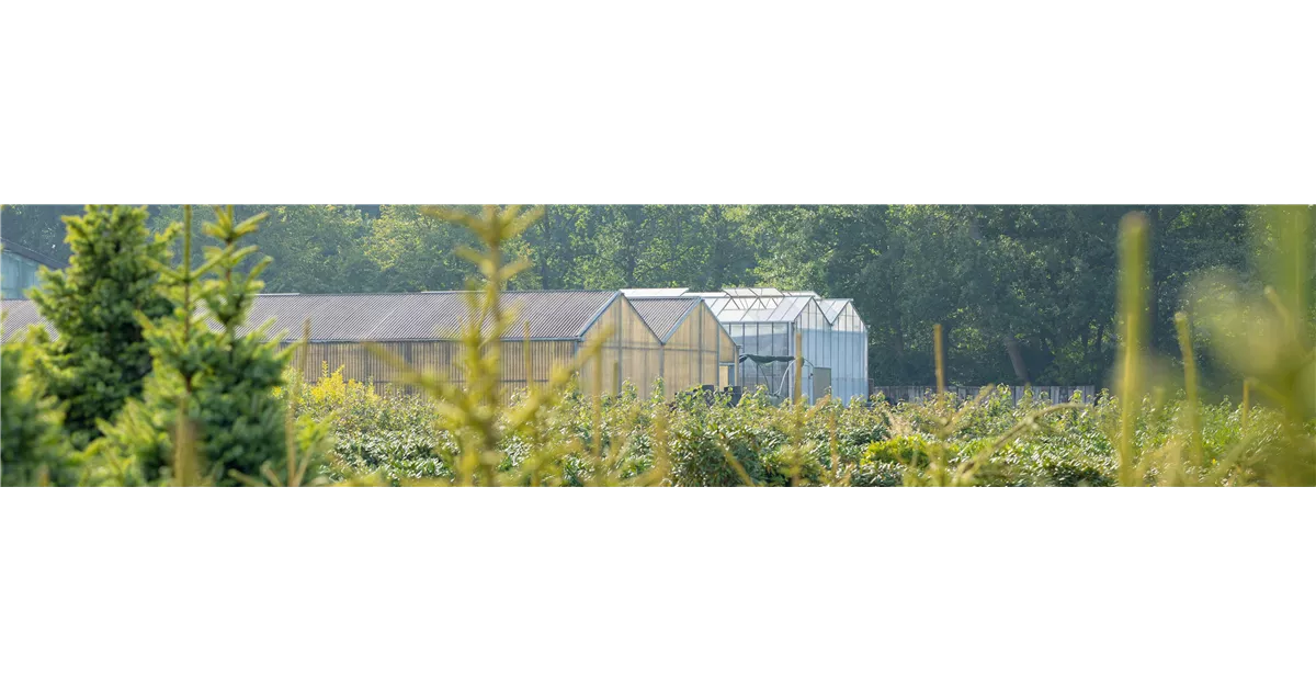 Über uns Wolters Garten und Landschaftsbau & Baumschulen