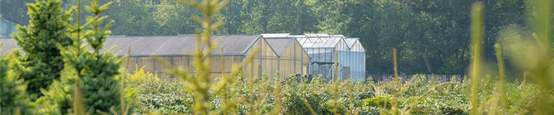 GS649633-0-926-6720-1440.jpg GS649633-0-926-6720-1440.jpg