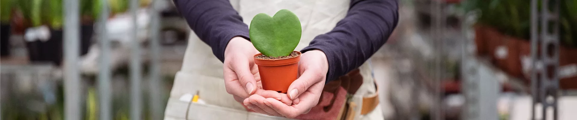 GS732395-0-1483-5806-1244.jpg GS732395-0-1483-5806-1244.jpg