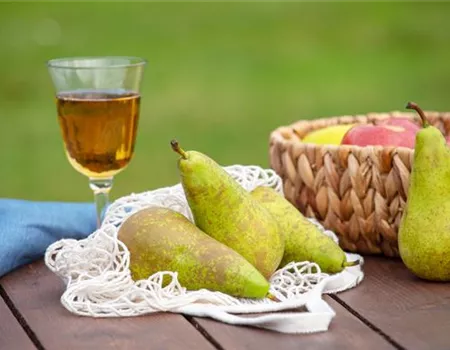 Birnen aus dem eigenen Garten genießen