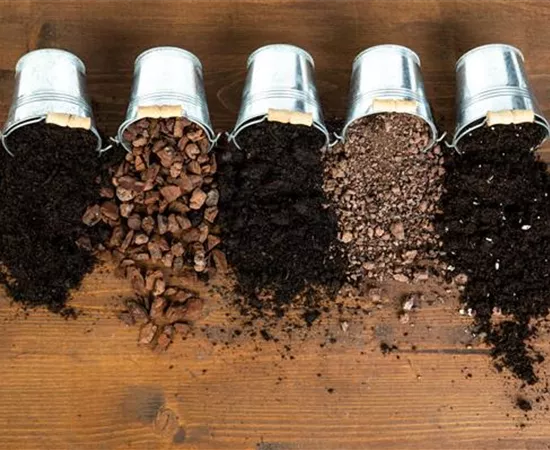 Die passende Erde für die Lieblingspflanzen in Haus und Garten