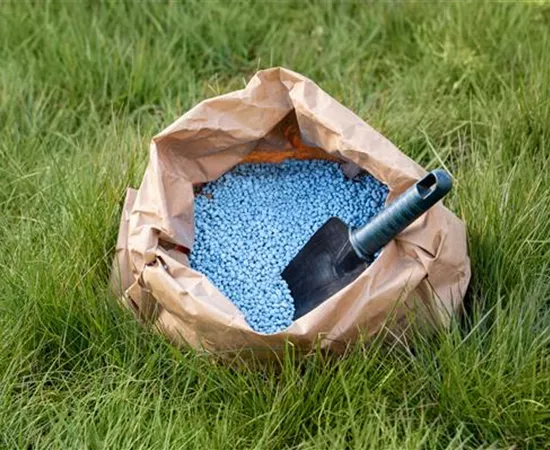 Düngen im Herbst - Kraftvoll in die kalte Jahreszeit