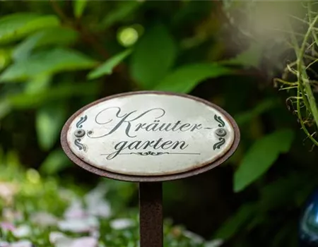 Ernte ohne Garten - Im duftenden Kräutergarten auf dem Balkon