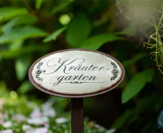 Ernte ohne Garten - Im duftenden Kräutergarten auf dem Balkon