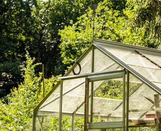 Kleine Gewächshäuser für kleine Gärten