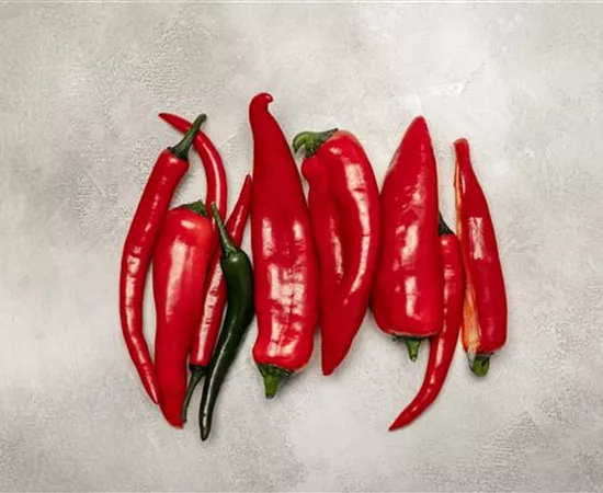 Paprika selber anbauen – Tipps für Anzucht und Ernte