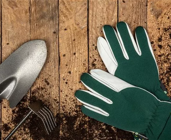 Rechtzeitig für das kommende Gartenjahr den Garten vorbereiten