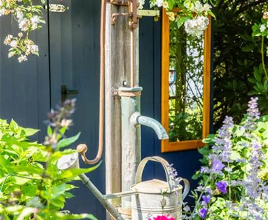 So einfach kann die Gartengestaltung mit Gartenpflanzen sein