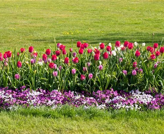 Wie ein pflegeleichter Garten gestaltet wird