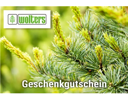 Individueller Online Gutschein