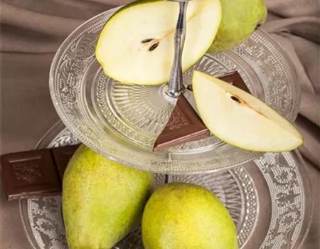 Pyrus com. 'Köstliche von Charneux'