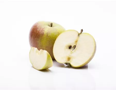 Malus dom. 'Cox Orange Renette'