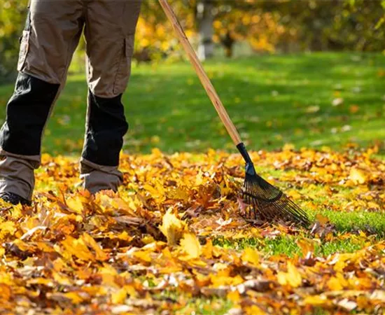 Gartenarbeit im Herbst – Das ist jetzt wichtig