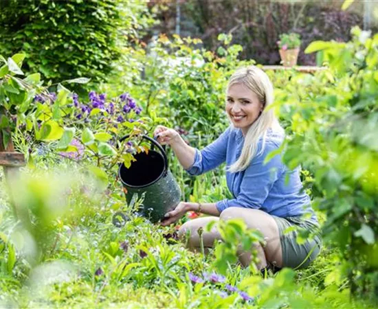 Gartenarbeit im Sommer – Damit’s nicht zu heiß wird!
