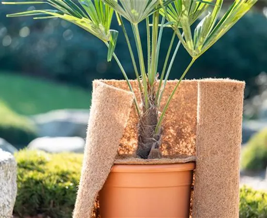 Den Garten winterfest machen